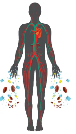 GlycoQ Blood Sugar Support